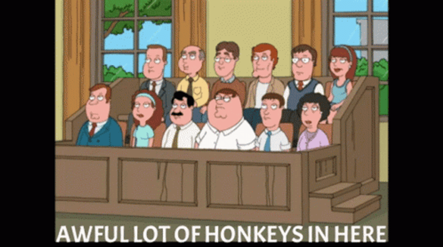 Jury Duty Peter Griffin Family Guy GIF