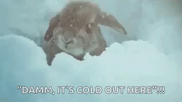 Just A Bit Cold Outside Out Here GIF