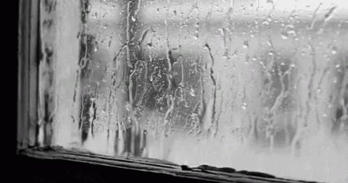Just A Bit Rainy Outside GIF