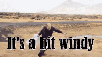 Just A Bit Windy Outside GIF