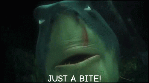 Just A Bite Shark GIF