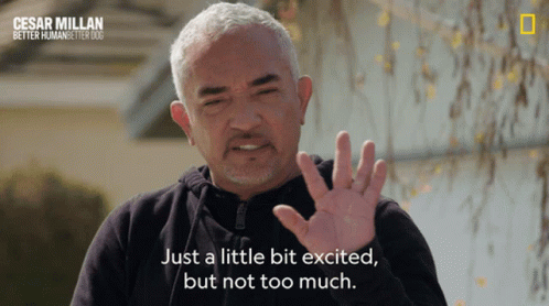 Just A Little Bit Excites But Not Too Much GIF
