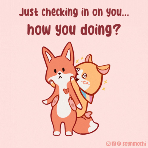 Just Checking In On You Cute Cat GIF