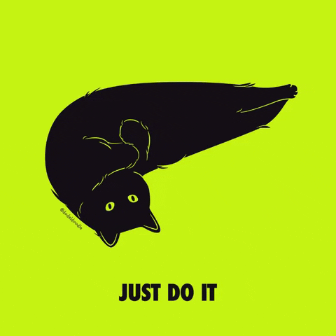 Just Do It Meme Black Cat GIF
