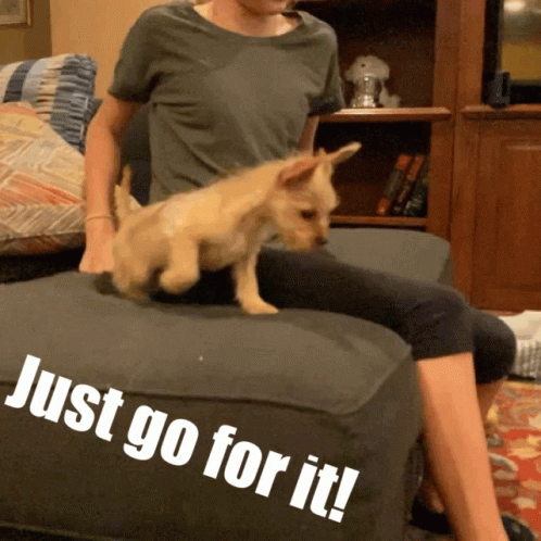 Just Do It Meme Dog Jump GIF