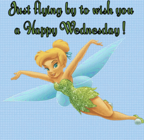 Just Fly To Wish Happy Blessed Wednesday GIF