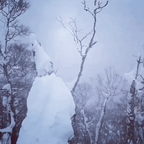 Just Hanging Around The Snow GIF