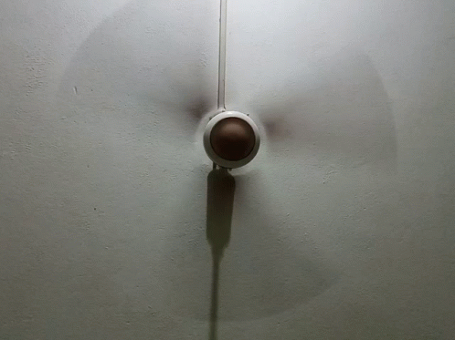 Just One Fan To Stay Cool GIF