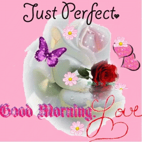 Just Perfect Blessed Good Morning Wednesday GIF