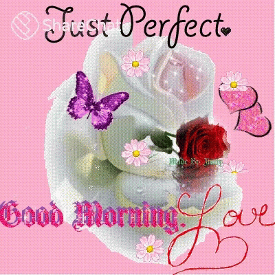 Just Perfect Flowers And Butterflies GIF