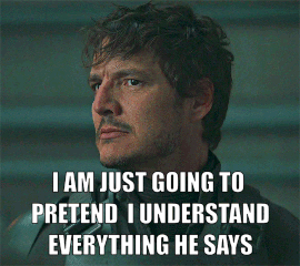 Just Pretend I Understood Everything He Say GIF