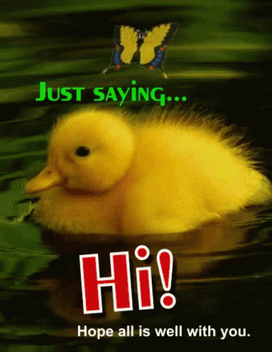 Yellow Duck Just Saying Hi GIF