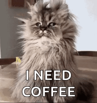 Just Waking Up I Need Coffee GIF
