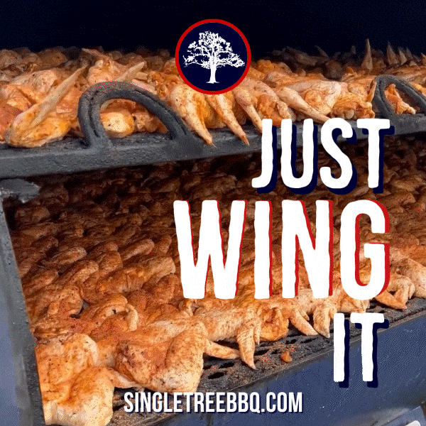 Just Wing It Chicken Wing GIF