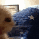 Just Woke Up Huh Cat Meme GIF