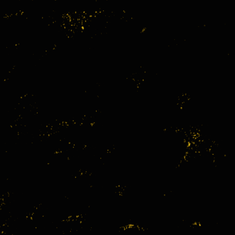 Justice Would Be George Floyd See Family Again GIF