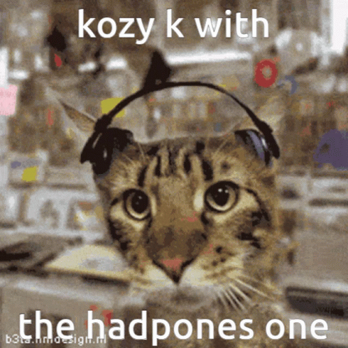 K Cat With Headphones GIF