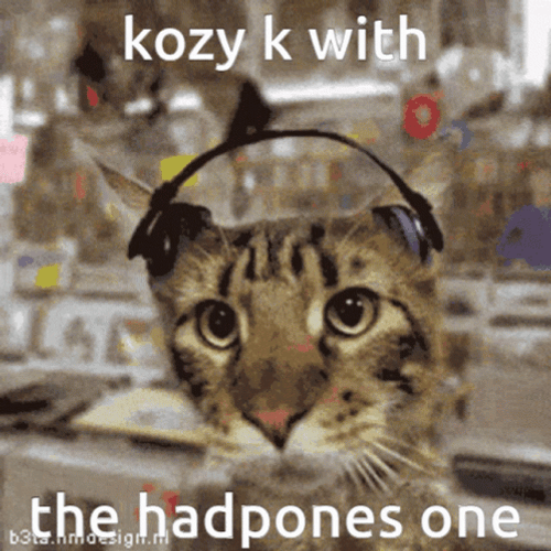 K Cat With Headphones GIF