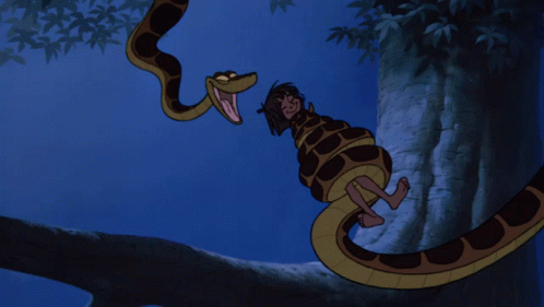 Kaa About To Eat Anaconda Snake GIF