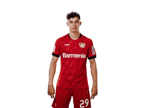 Kai Havertz Double Peace Sign Smile Pose GIF