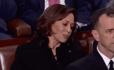Kamala Harris Talking To Someone GIF