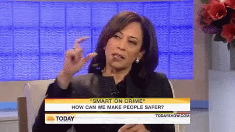 Kamala Harris Explaining GIF