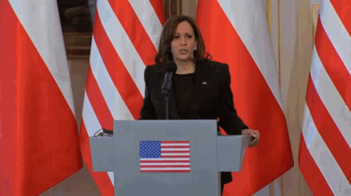 Kamala Harris I Don't Know GIF