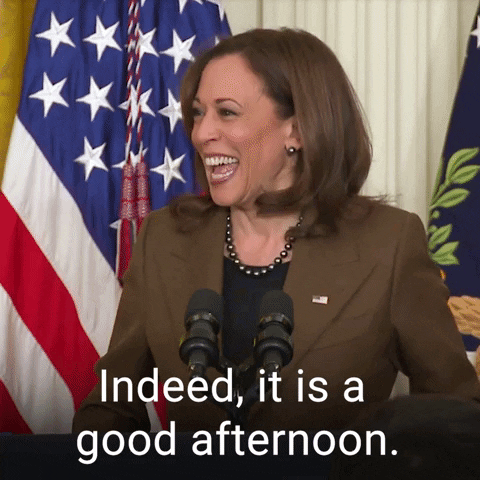 Kamala Harris Good Afternoon Wednesday GIF