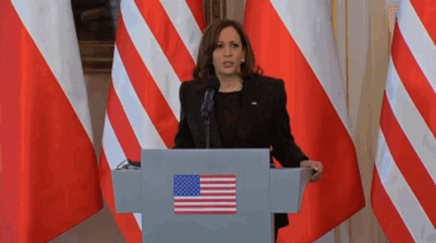Kamala Harris I Don't Know GIF