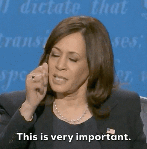 Kamala Harris Important Talk GIF
