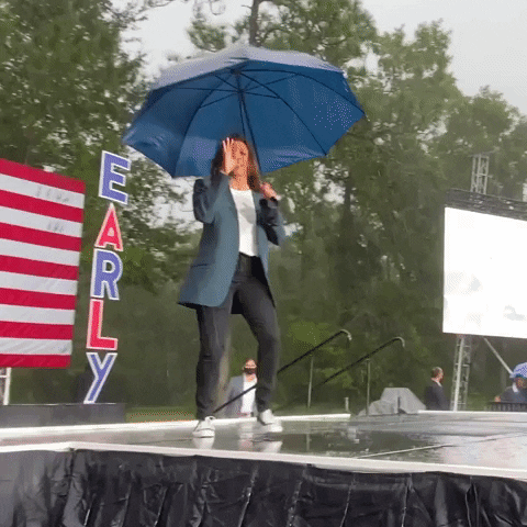 Kamala Harris Rain Dance GIF