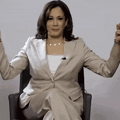 Kamala Harris Vice President Gif GIF