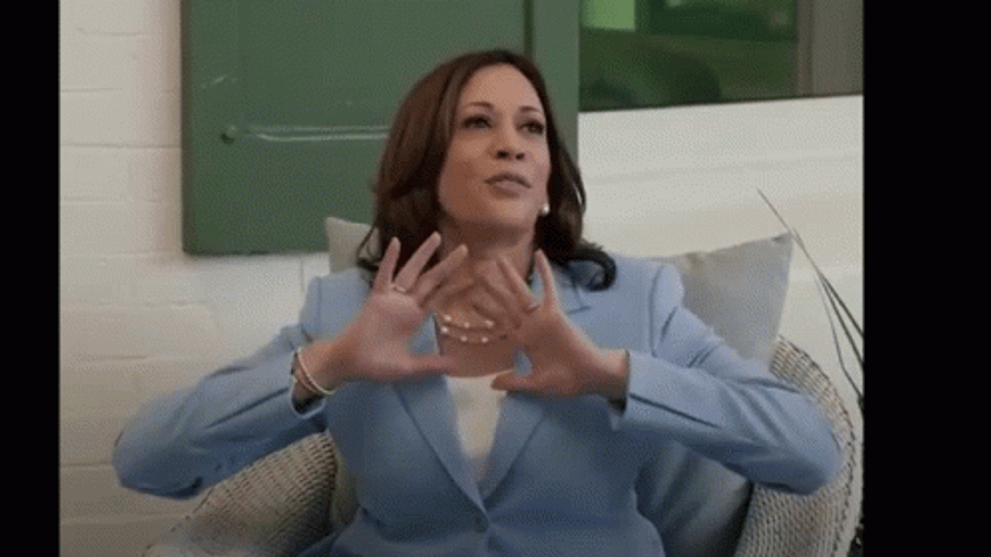 Kamala Harris Wonderful Gesture GIF