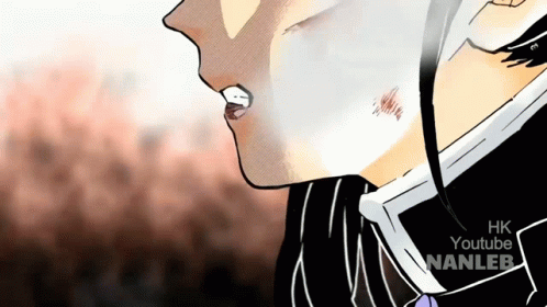 Kanao Demon Slayer Kimetsu Yaiba Fighting GIF