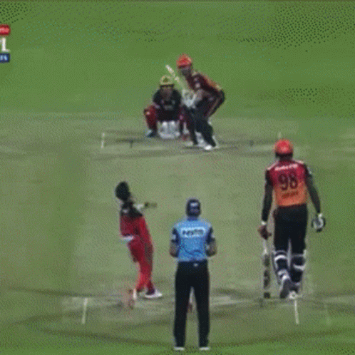 Kane Williamson Cricket Ball Hit GIF