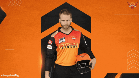 Kane Williamson Cricket Bat Pointing GIF