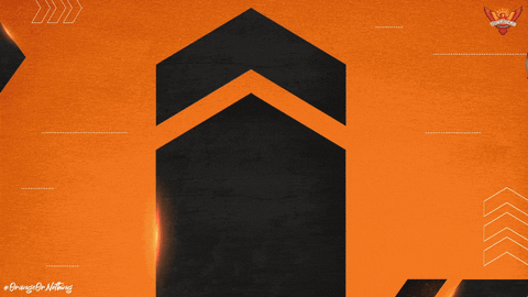 Kane Williamson Cricket Four GIF