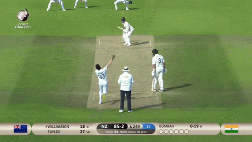 Kane Williamson Cricket Gameplay GIF