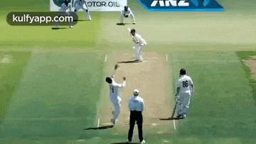 Kane Williamson.gif Gif GIF