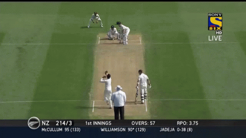 Kane Williamson Strike GIF