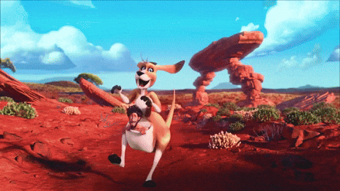 Kangaroo Coming In Hot GIF