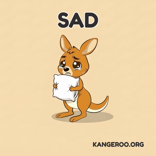 Kangaroo Crying Holding White Pillow Sad