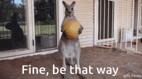 Kangaroo Holding Ball Fine Be That Way