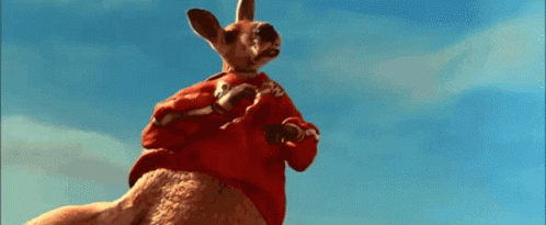 Kangaroo Jack Cool Sign GIF