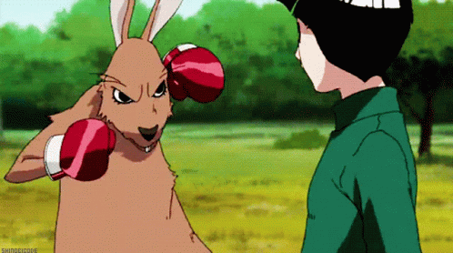 Kangaroo Punched by Boy in Red Boxing Gloves
