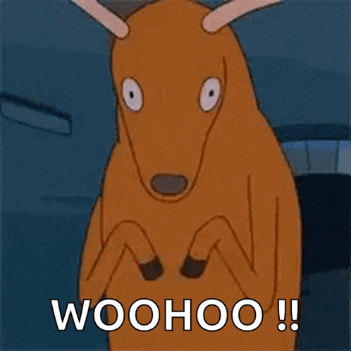Kangaroo Saying Woohoo GIF