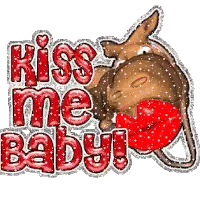 Kangaroo With Kiss Me Baby