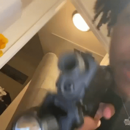 Kankan Gun Playing GIF