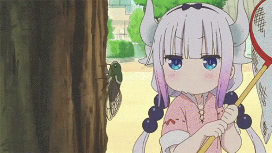 Kanna Kamui Catching Flies  GIF