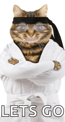 Karate Cat Saying Let's Go